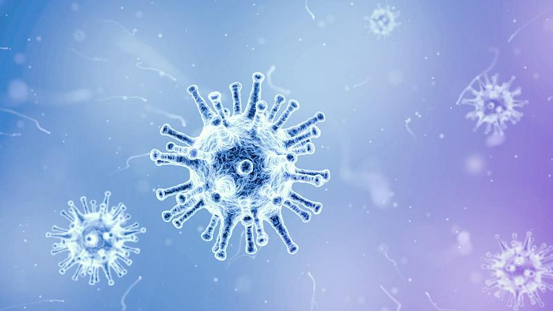 Ewolucja wirusów przez wieki