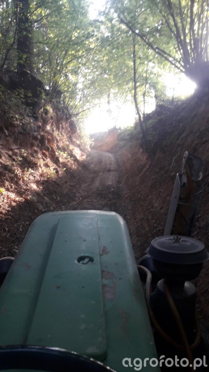 Rodzinne wartości Jarka Ogarka