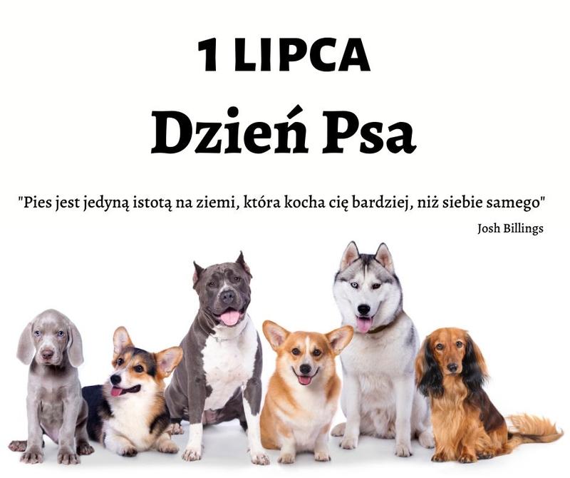 Tradycje i obchody Dnia Psa