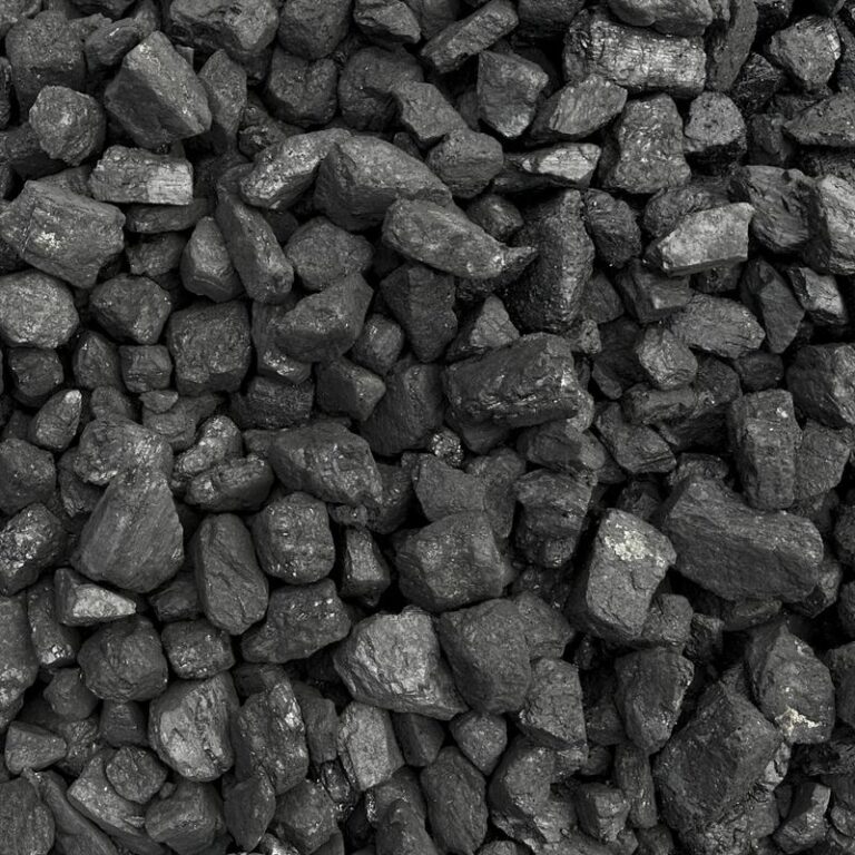 Skąd się wziął węgiel? Odkryj sekrety jego powstawania w dziejach naszej planety