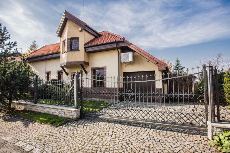 Tajemnicze życie Paliona w Siemianowicach – odkryj, gdzie mieszka!