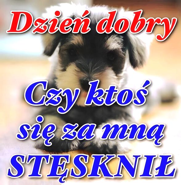 Memy na specjalne okazje
