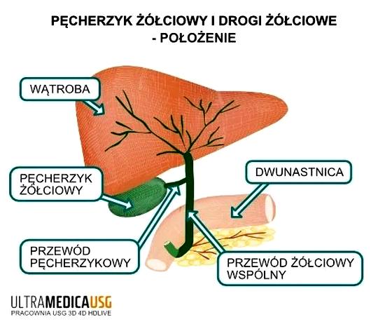 Zmiany w diecie