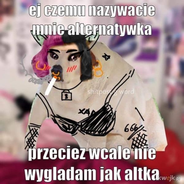 Kto to jest alternatywka i jak jej styl kształtuje kulturę młodzieżową?