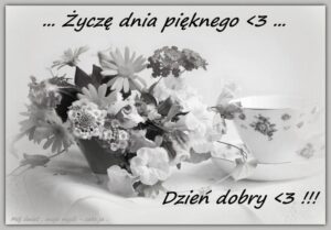 Najlepsze memy na miły dzień, które poprawią ci humor i wywołają uśmiech