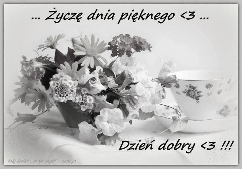 Najlepsze memy na miły dzień, które poprawią ci humor i wywołają uśmiech